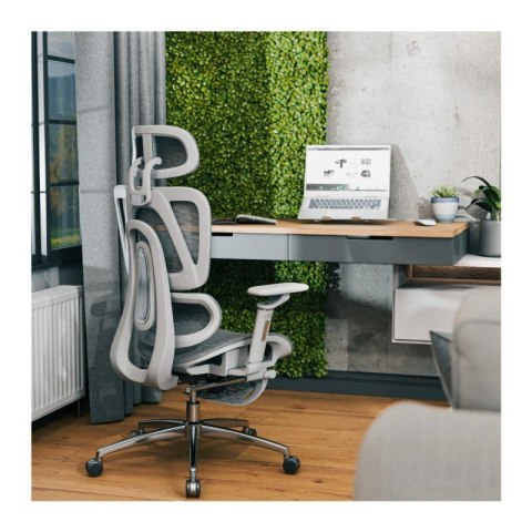 Fotel obrotowy Expert 7.9 Grey Fotel obrotowy Expert 7.9 Grey