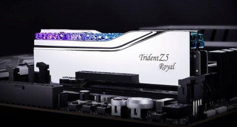 G.SKILL TRIDENT Z5 ROYAL RGB DDR5 2X24GB 8000MHZ CL38 1.35V F5-8000J3848F24GX2-TR5S