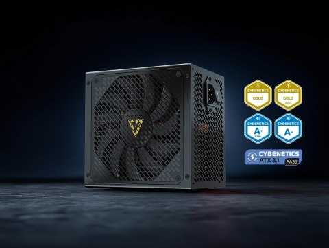 MODECOM ZASILACZ VOLCANO HEX 750W GOLD ATX 3.1 MODECOM ZASILACZ VOLCANO HEX 750W GOLD ATX 3.1