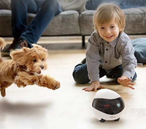 Robot AI ENABOT Ebo SE Biało-czarny Robot AI ENABOT Ebo SE Biało-czarny
