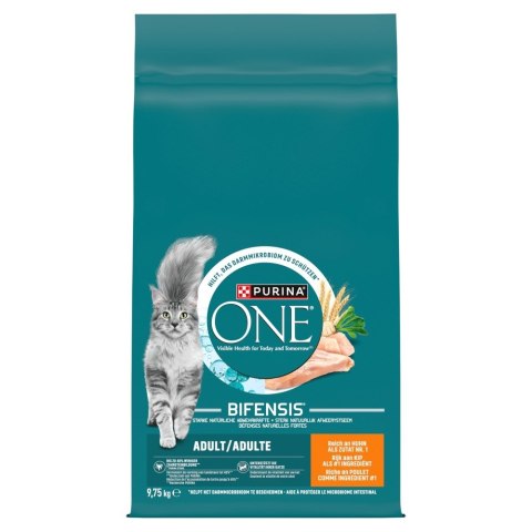 PURINA ONE ADULT Cat Chicken 9,75kg