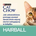 PURINA CAT CHOW Kurczak&Fasola 20+6 saszet. 2,21kg
