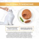 PURINA GOURMET GOLD Mus z łososiem 85g