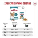 ROYAL CANIN FHN Cat Ageing 11+ 2kg
