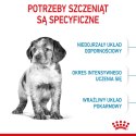 ROYAL CANIN SHN Medium Puppy - sucha karma dla szczeniąt - 15 kg (WYPRZEDAŻ)