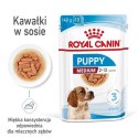 Karma ROYAL CANIN SHN Medium Puppy w sosie 10X140G