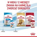 Karma ROYAL CANIN SHN Medium Puppy w sosie 10X140G