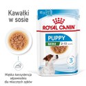 Karma ROYAL CANIN SHN Mini Puppy w sosie 12X85G
