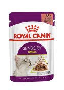 Karma Royal Canin Sensory Smell gravy 12x85g