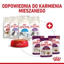 Karma Royal Canin Sensory Smell gravy 12x85g
