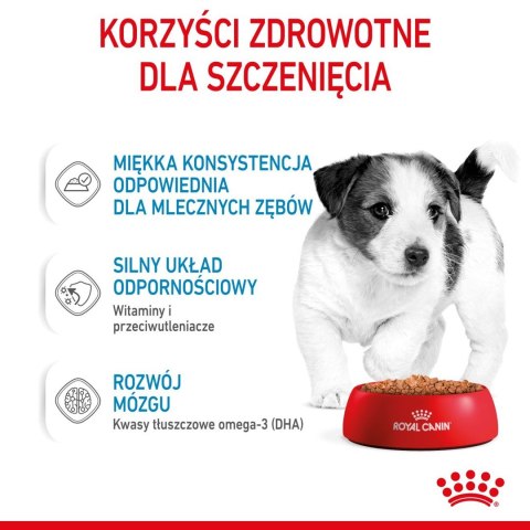 Karma ROYAL CANIN SHN Mini Puppy w sosie 12X85G