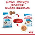 Karma ROYAL CANIN SHN Mini Puppy w sosie 12X85G