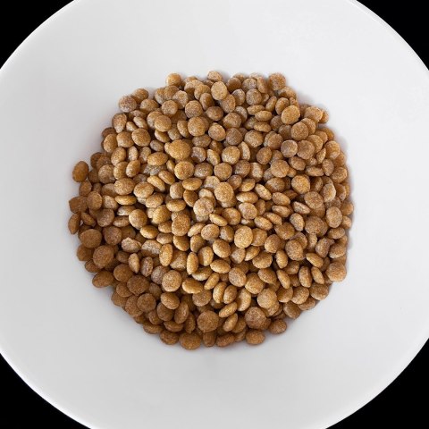 VET RESPONSE HYPPOALERGENIC dla kota 1,6 kg