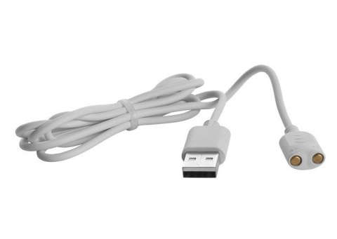 Szczoteczka soniczna niebieska ZK3020 CONCEPT