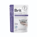 Brit VD Cat Pouch fillets in Gravy Gastrointest 12x85g