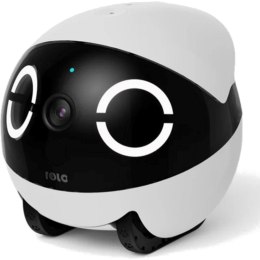 Robot towarzyski Enabot Rola Mini Companion