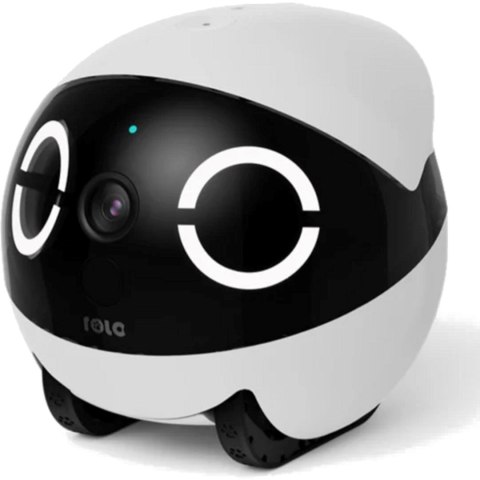 Robot towarzyski Enabot Rola Mini Companion