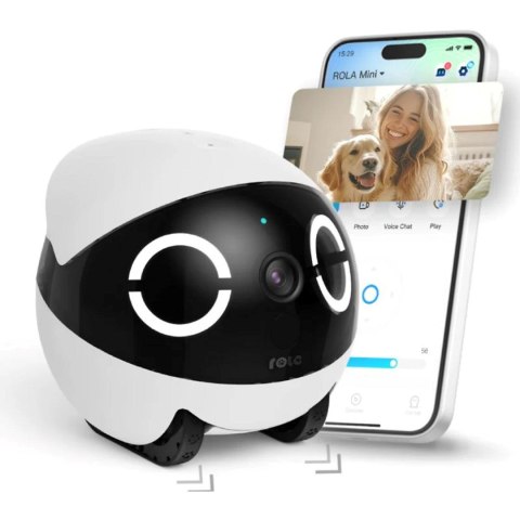 Robot towarzyski Enabot Rola Mini Companion